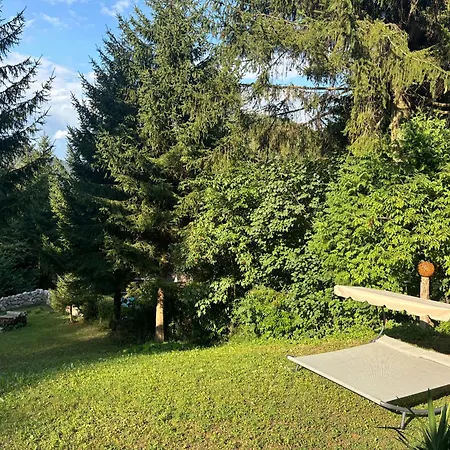 Ruhepol In Den Voralpen * Waidegg
