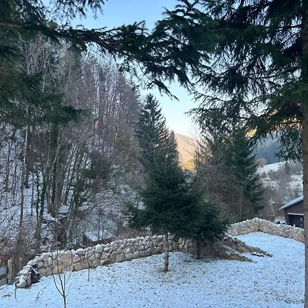 Ruhepol In Den Voralpen