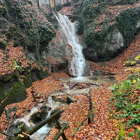 Ruhepol In Den Voralpen 公寓 *