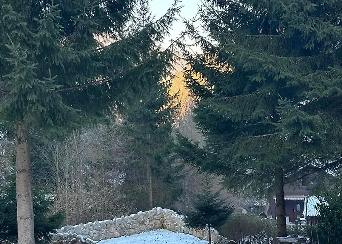 Ruhepol In Den Voralpen *