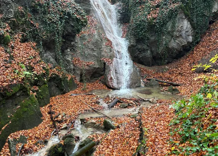 Ruhepol In Den Voralpen Apartament *